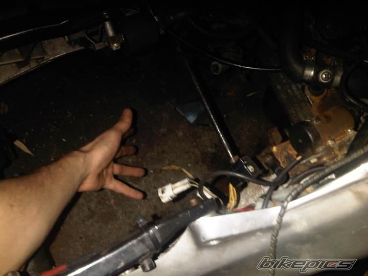 Photo 2279655