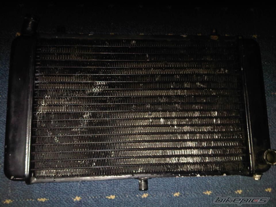 Photo 2279659