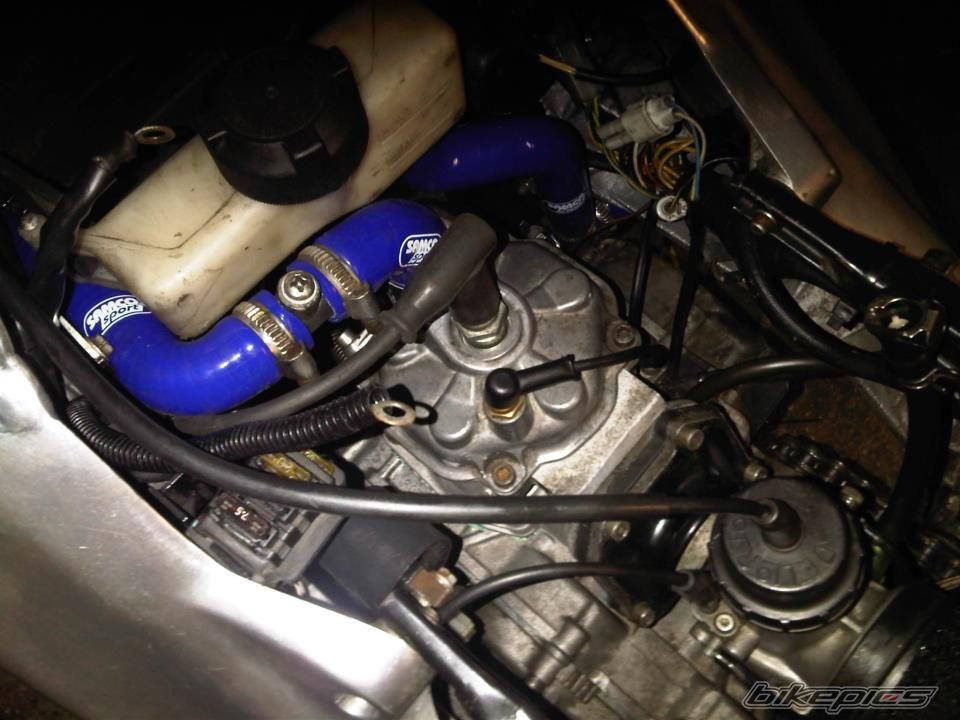 Photo 2279680
