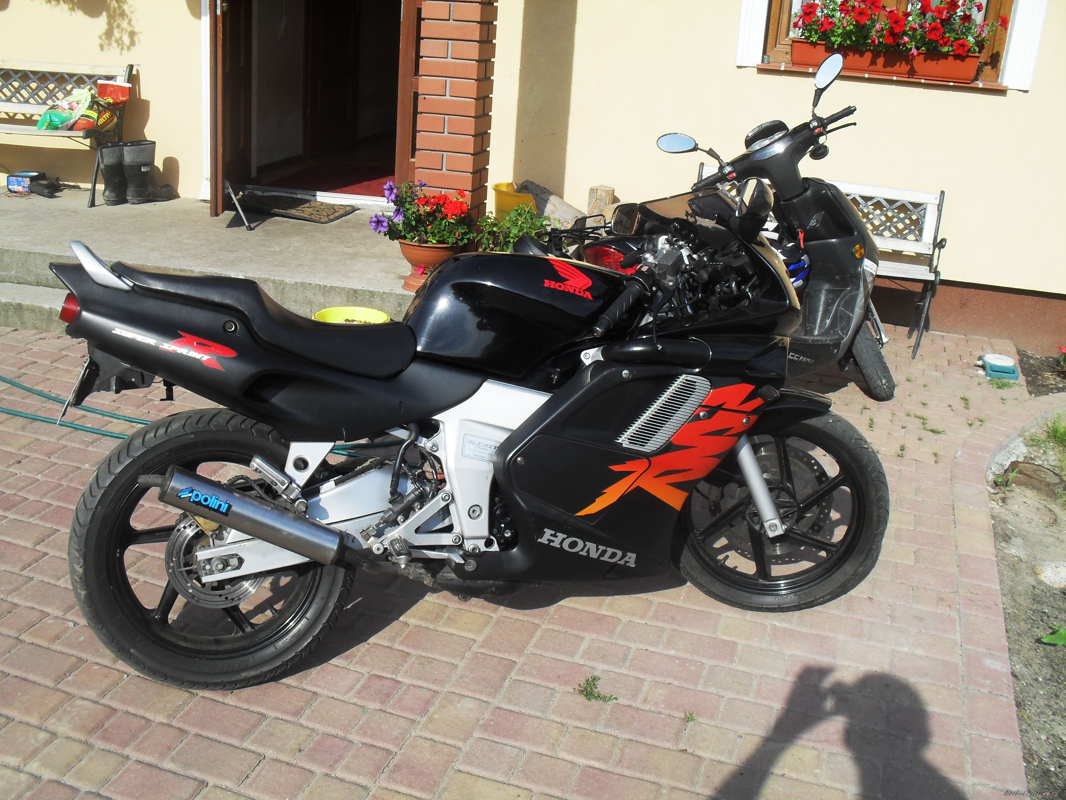 Photo 2279781
