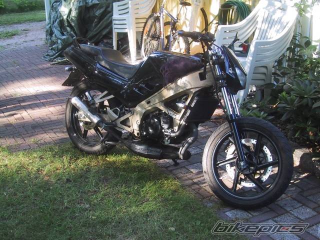 Photo 227979