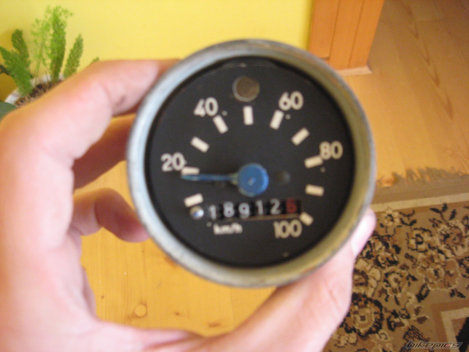 Photo 2279816