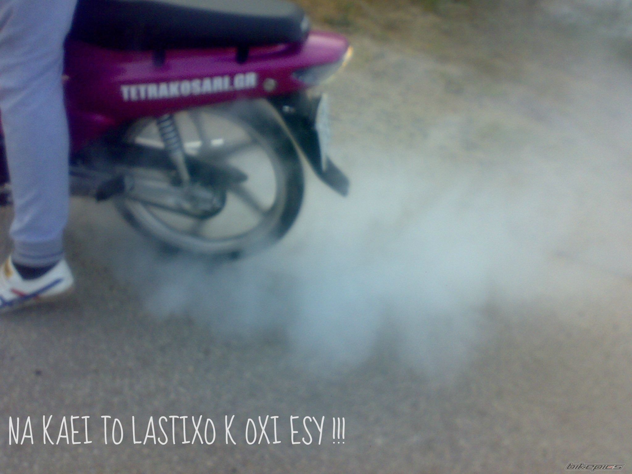 Photo 2279871