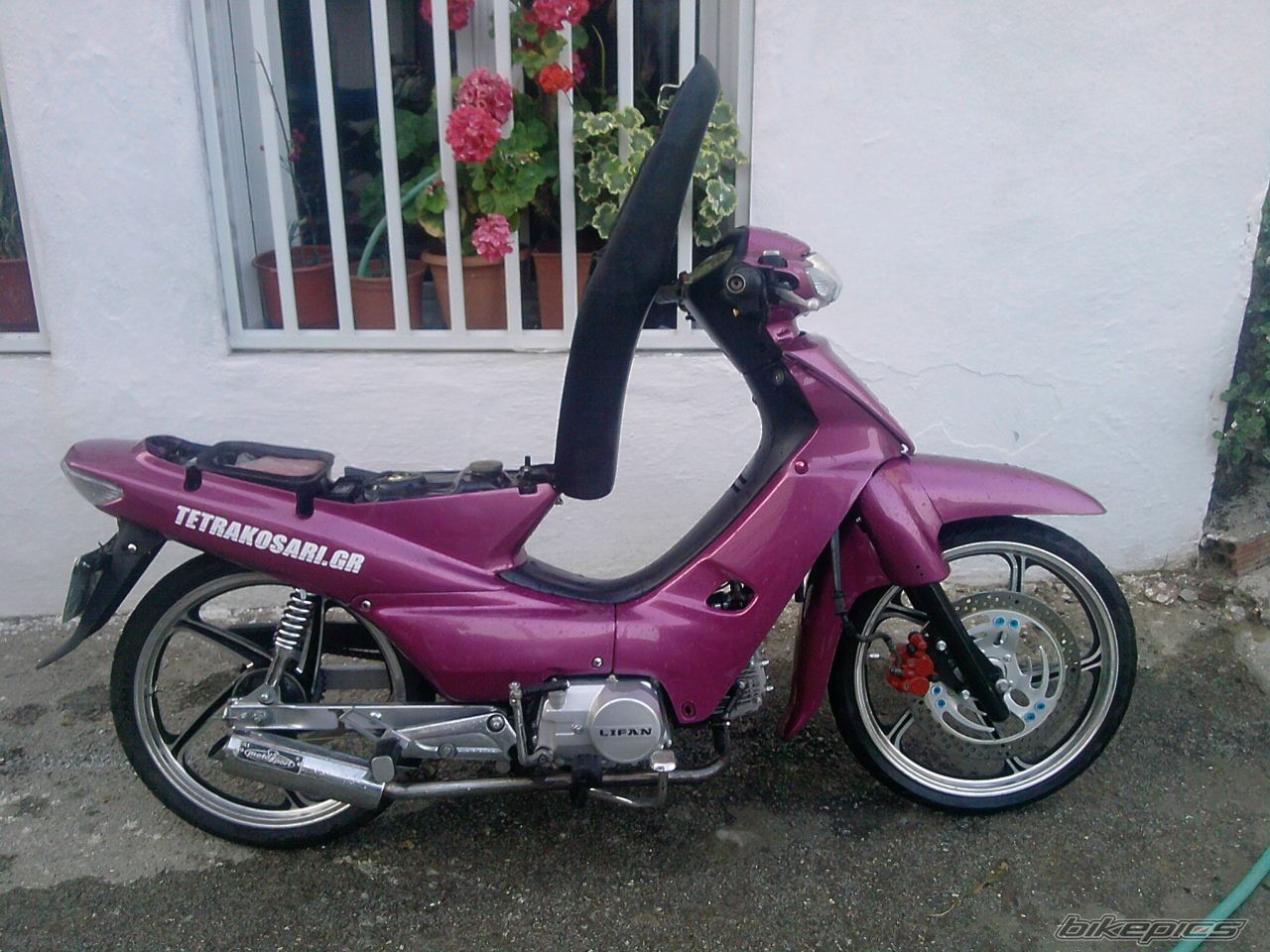 Photo 2279872