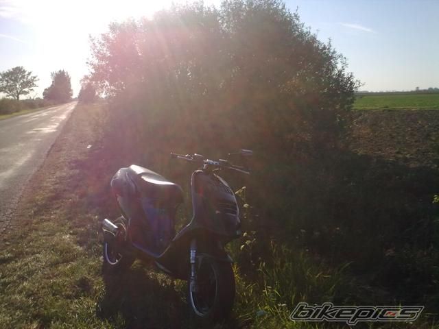 Photo 2279912