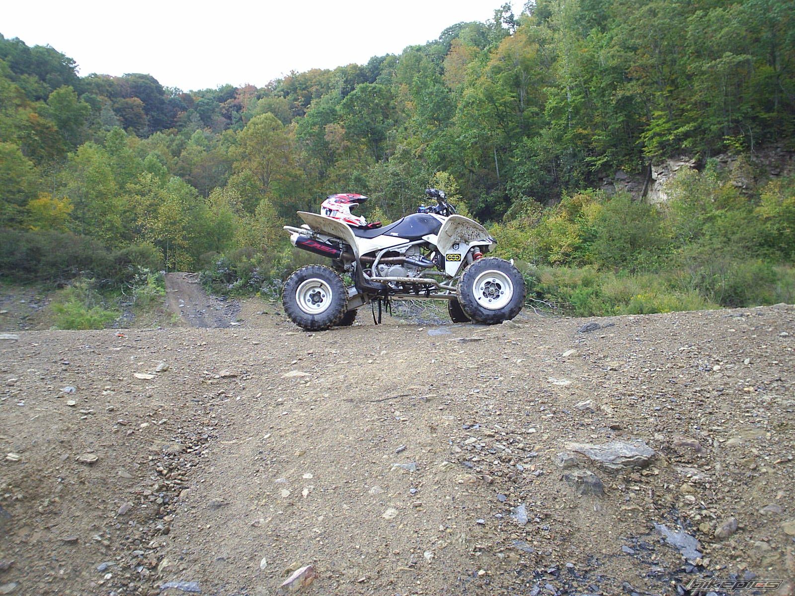 Photo 2279929