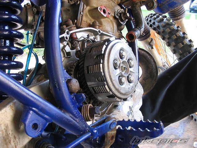 Photo 227993