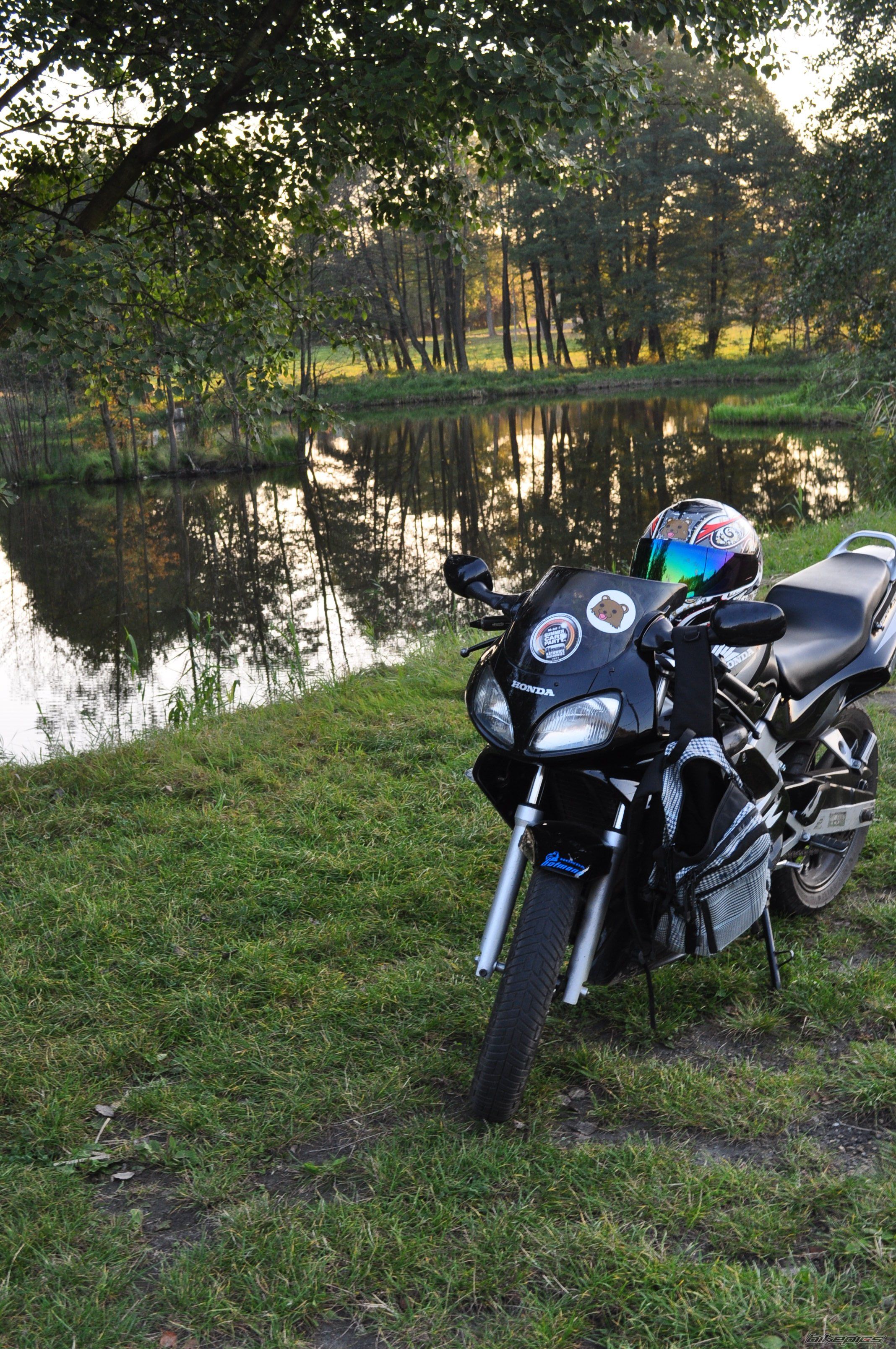 Photo 2279940