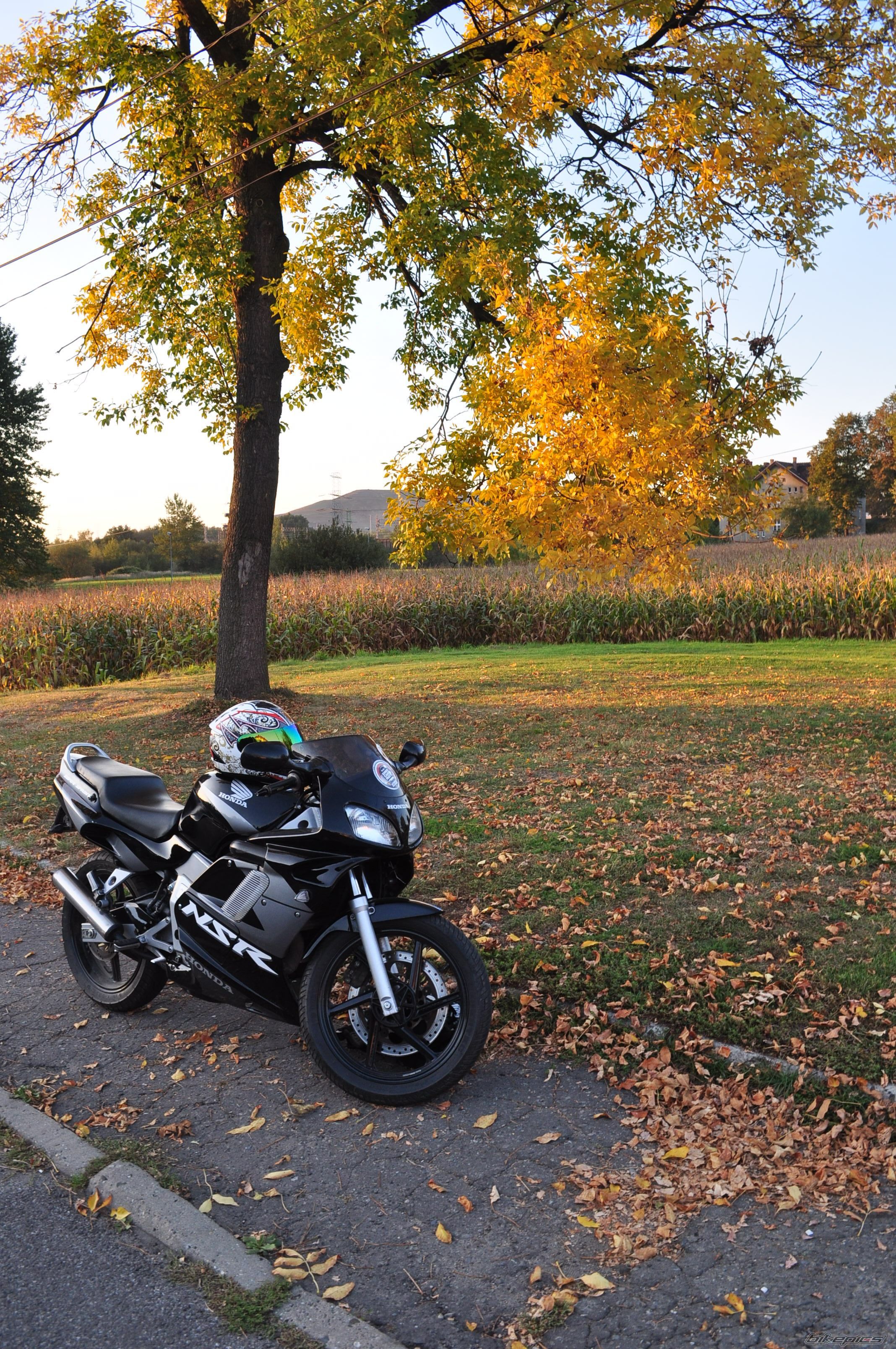 Photo 2279942
