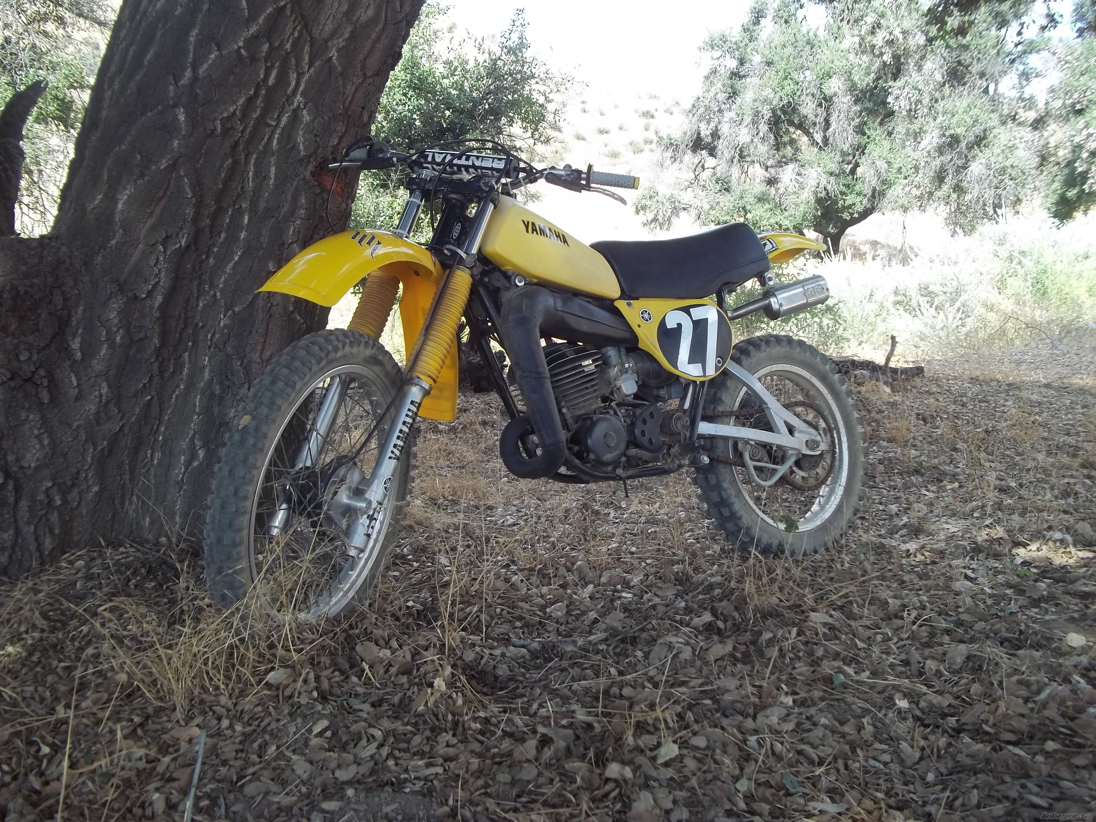 Bike Photo 2280050