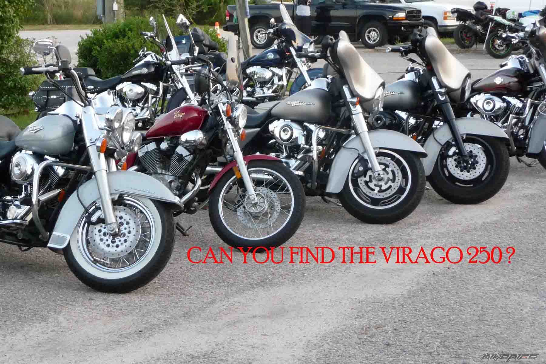 Photo 2280065