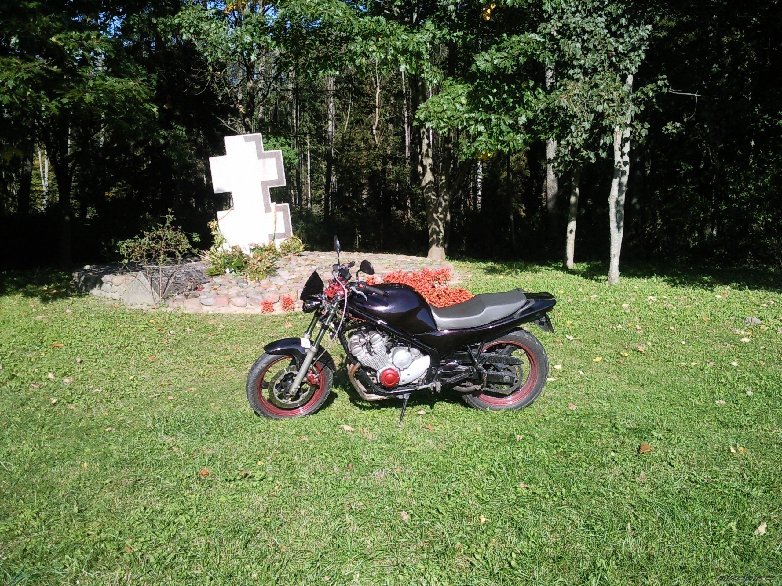 Photo 2280112