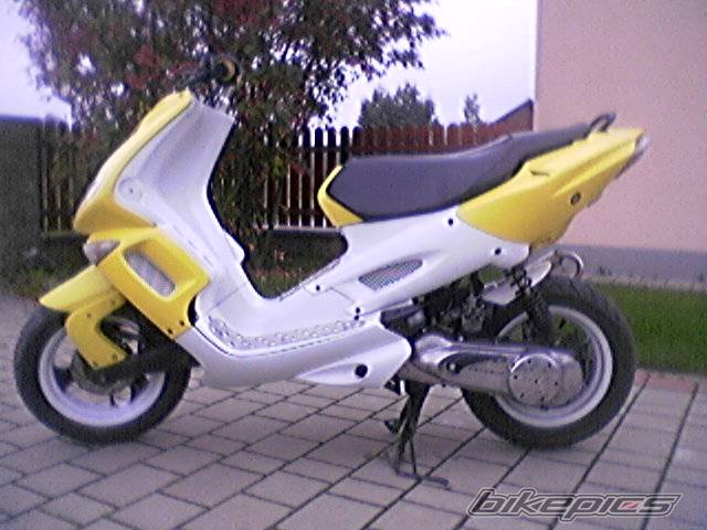 Photo 228031