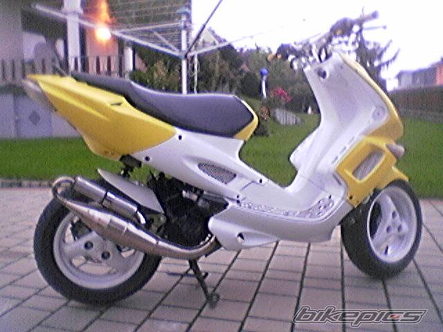 Photo 228033