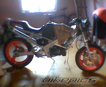 Photo 228035