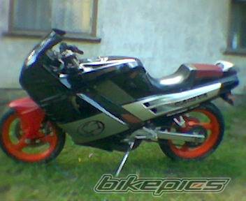 Photo 228037