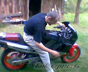 Photo 228039