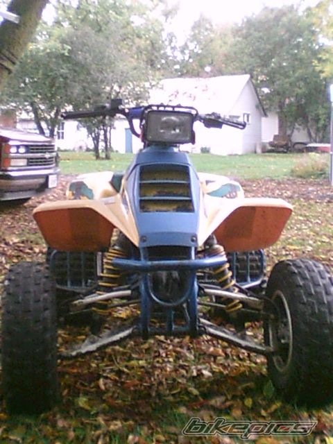 Photo 2280393
