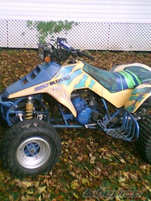 Photo 2280395