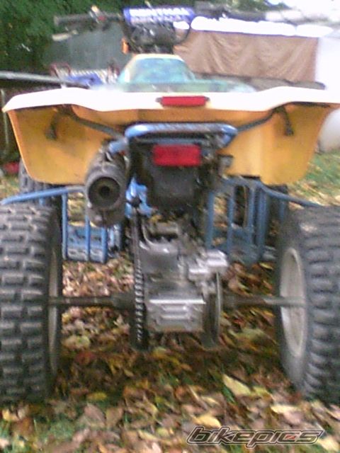 Photo 2280397