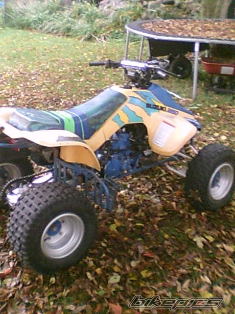 Photo 2280398