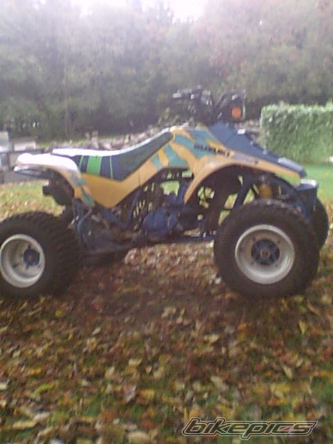 Photo 2280399