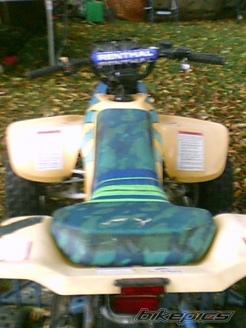 Photo 2280400