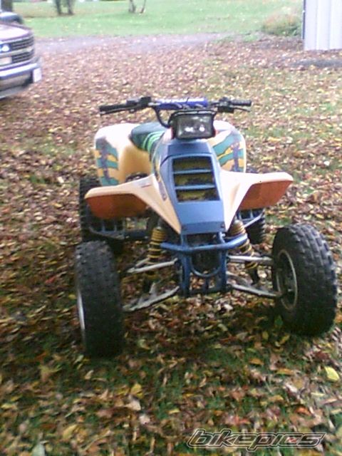 Photo 2280401