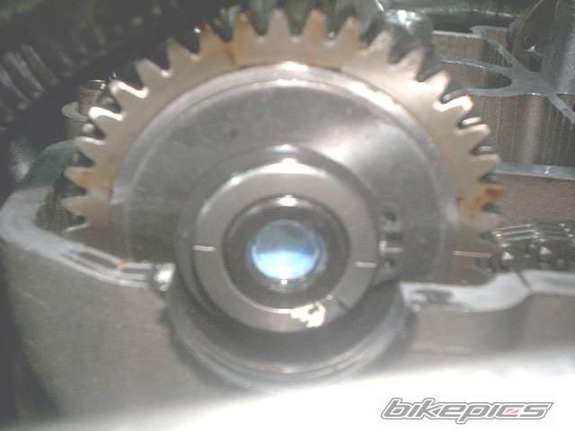 Photo 228043