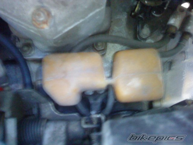 Photo 2280551