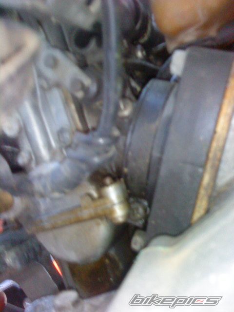 Photo 2280557