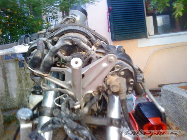 Photo 2280560