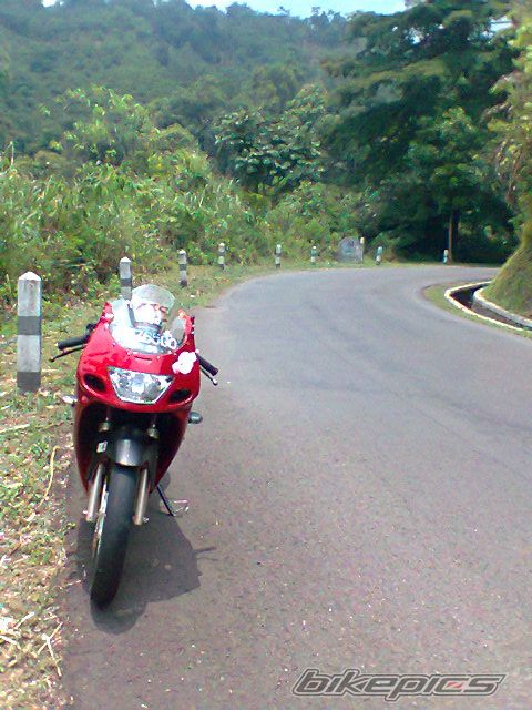 Photo 2280921