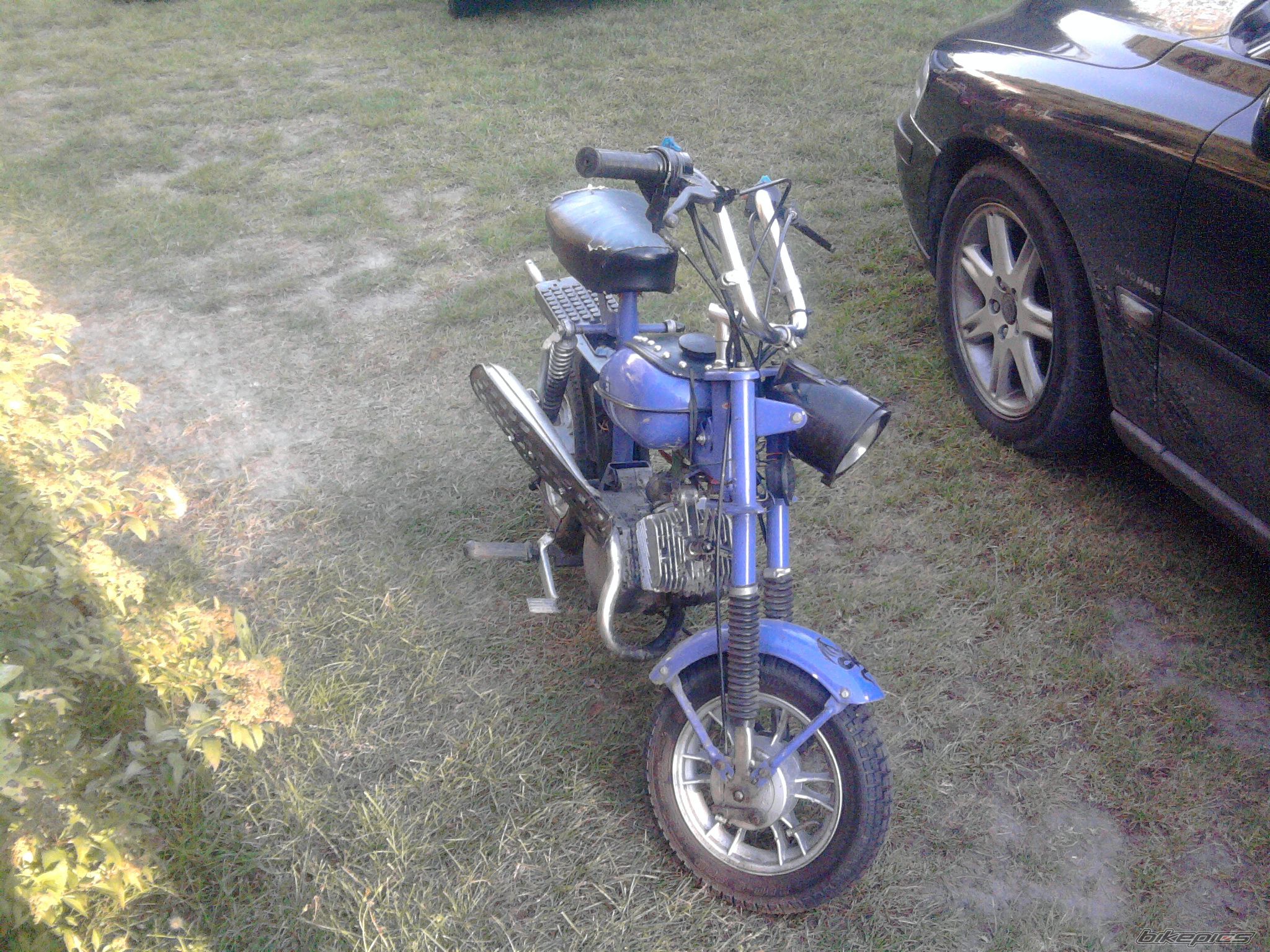 Photo 2281139