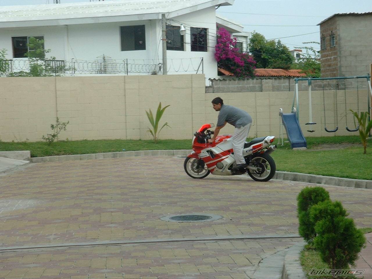Photo 228118