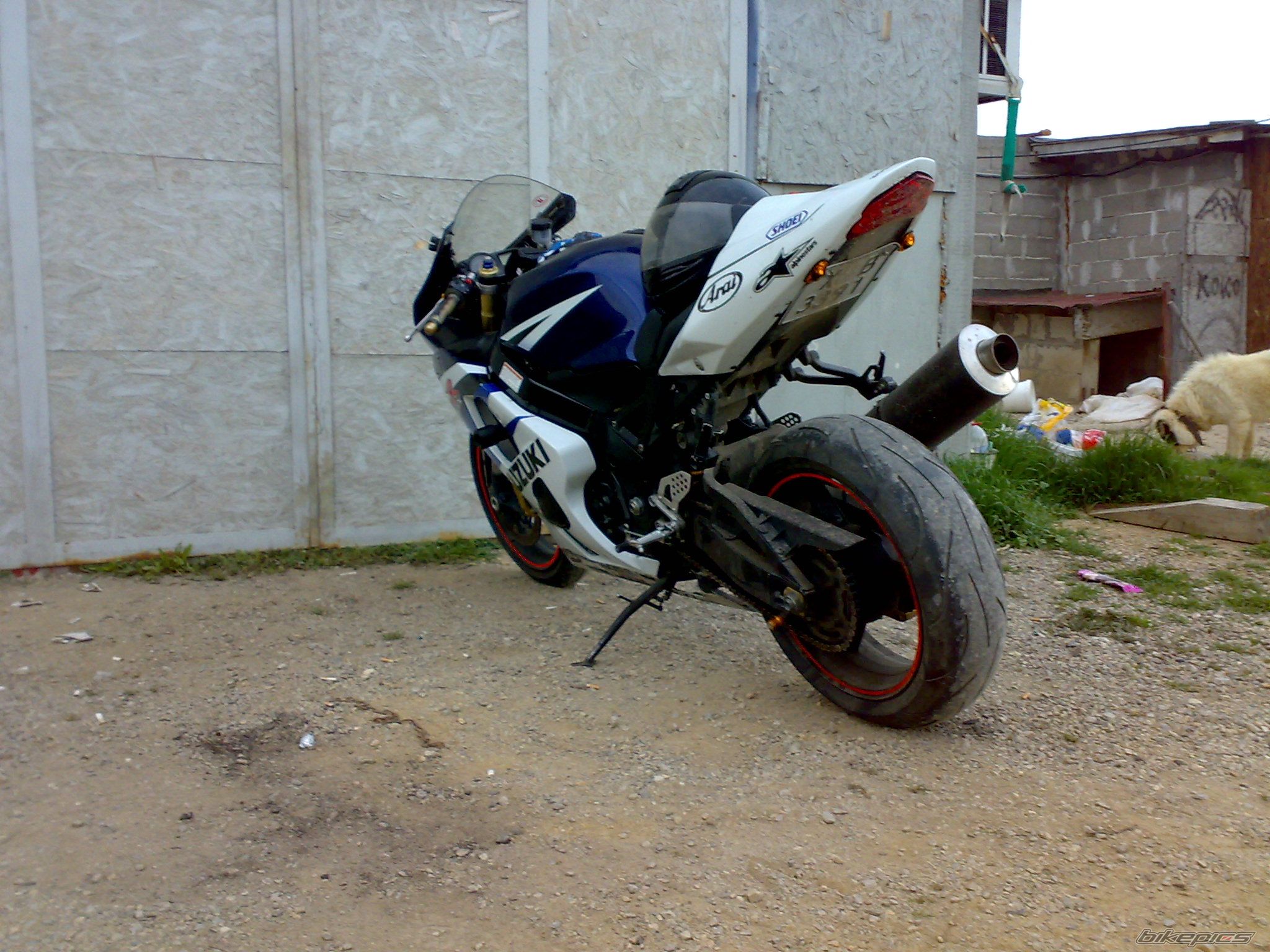 Photo 2281197