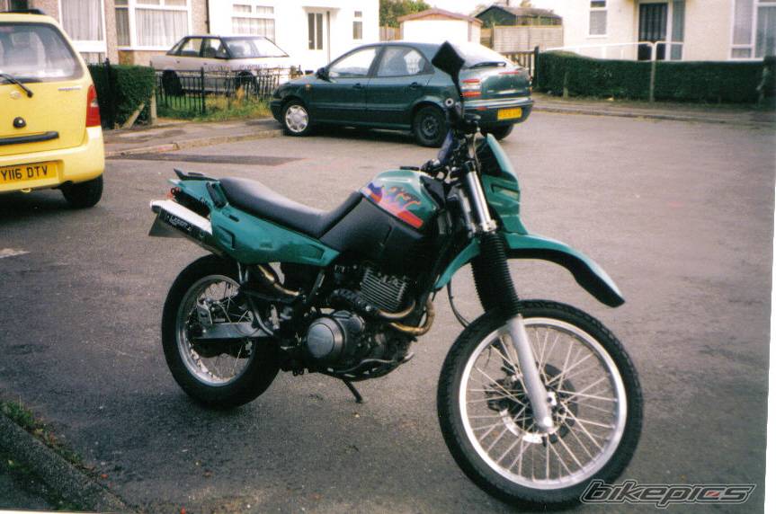Photo 228125