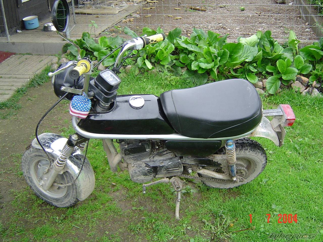 Photo 228131