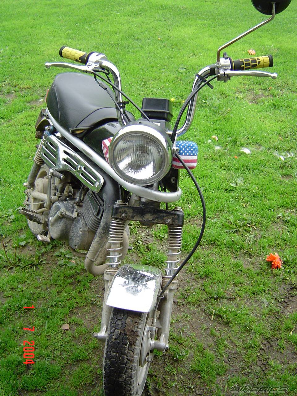 Photo 228133