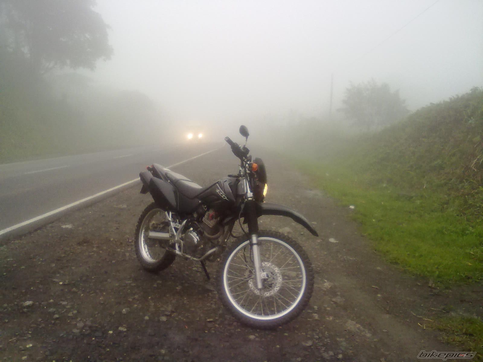 Bike Photo 2281496