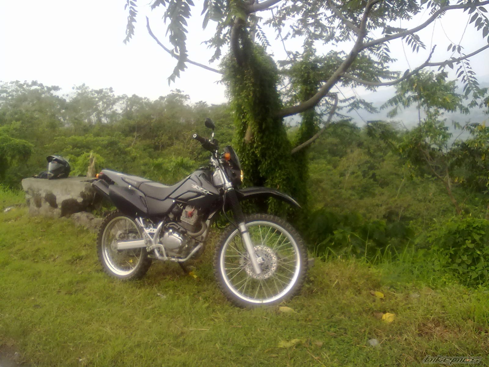 Bike Photo 2281505