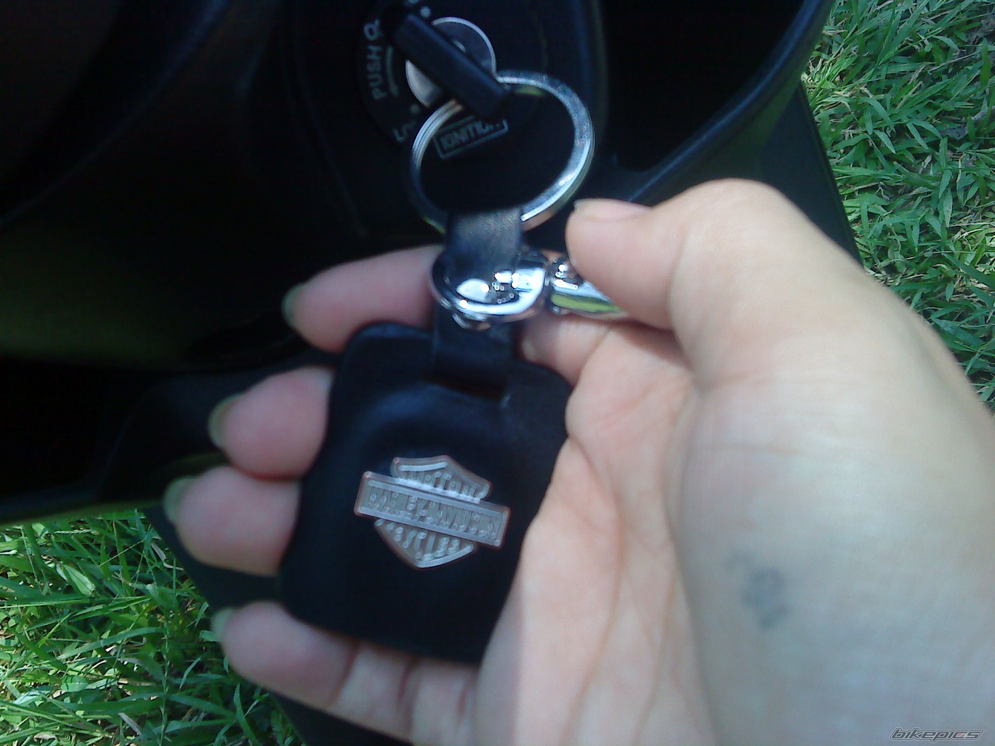 Photo 2281514