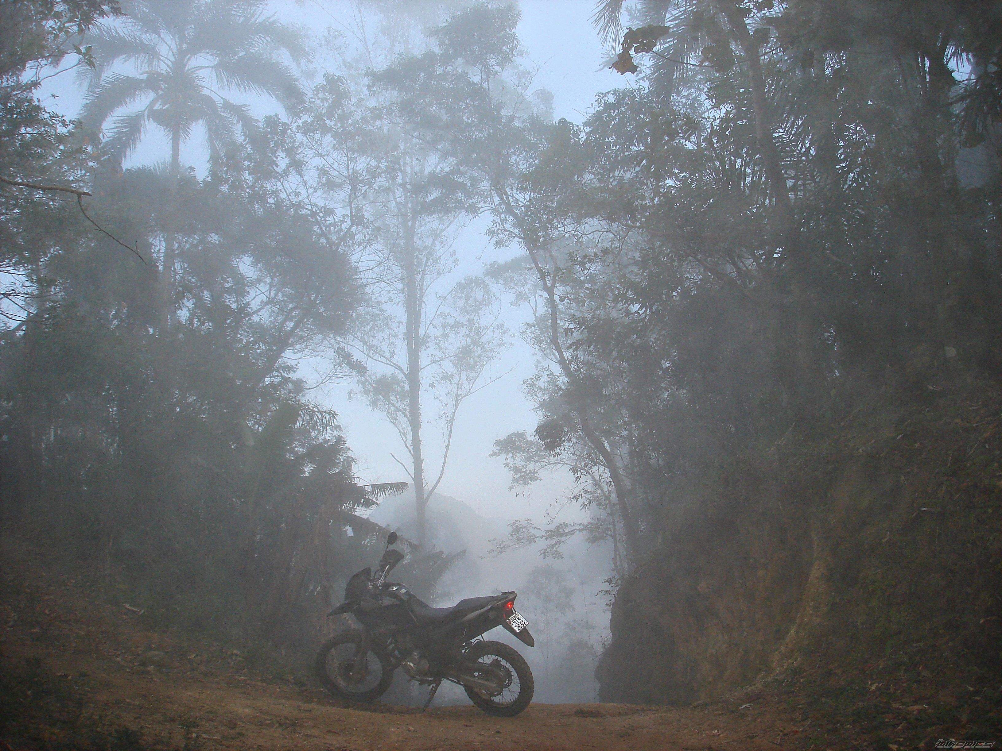 Bike Photo 2281614