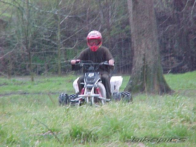 Photo 22817