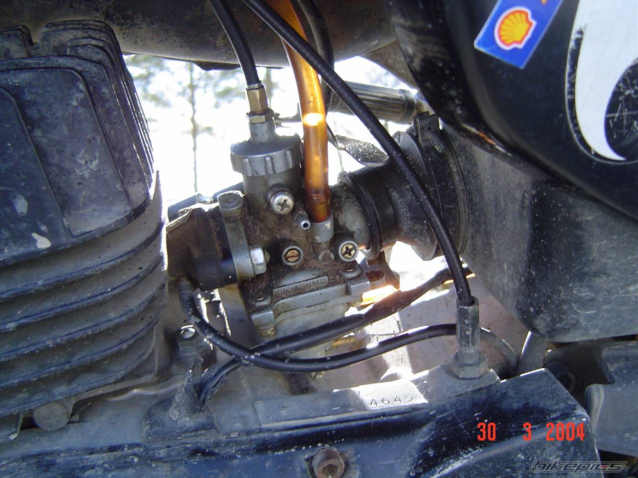 Photo 228173