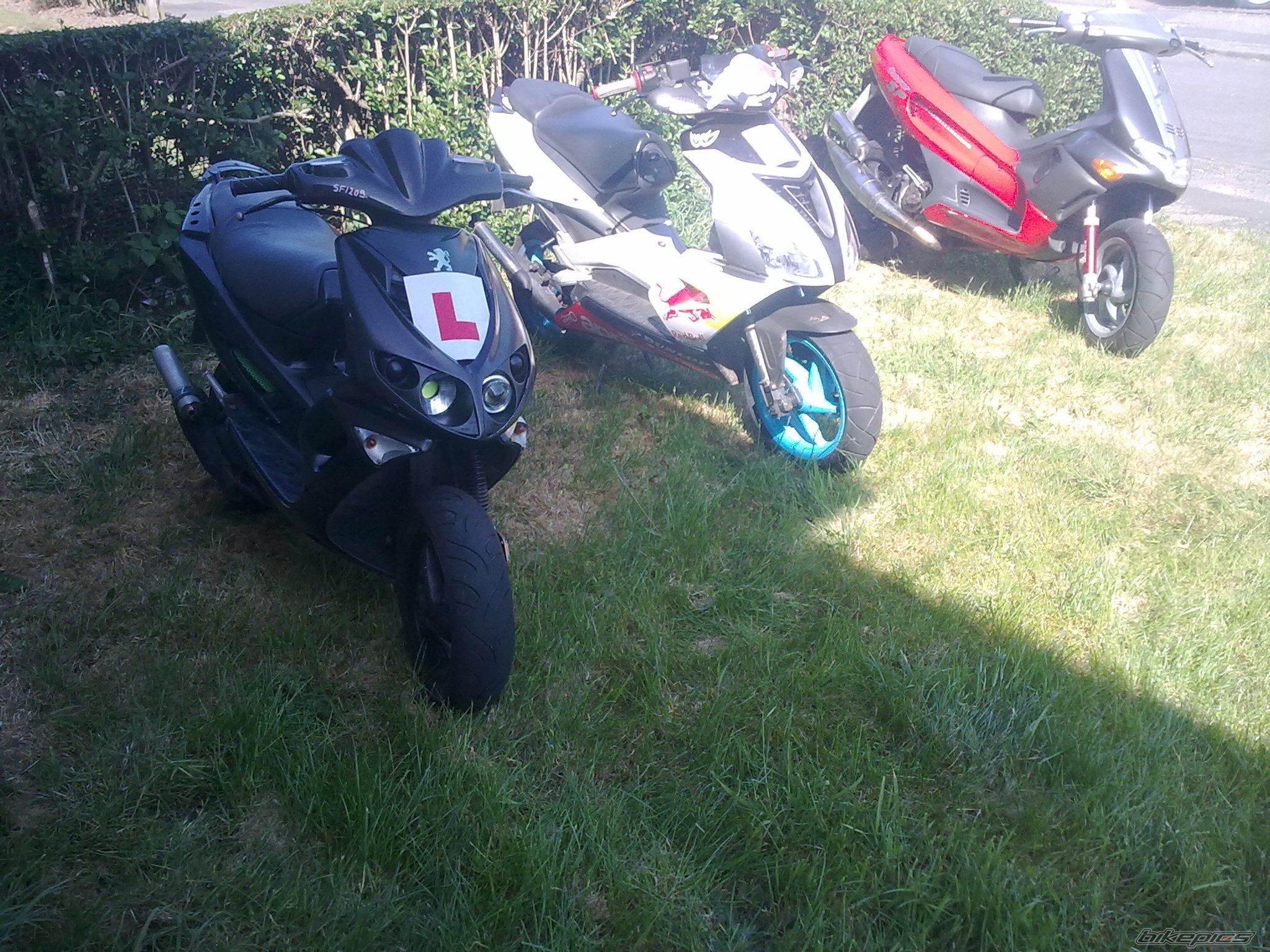 Photo 2281832