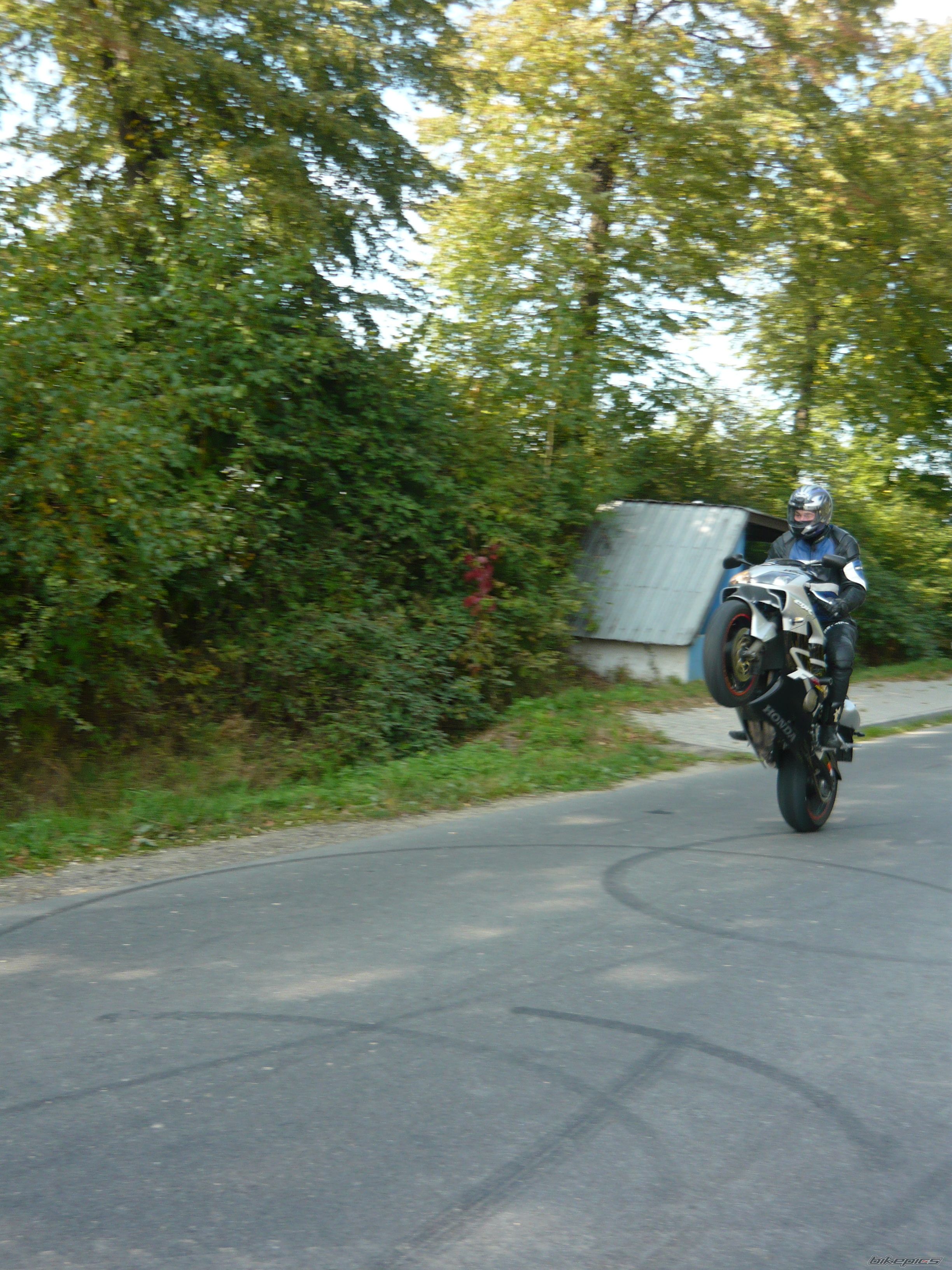 Photo 2281838