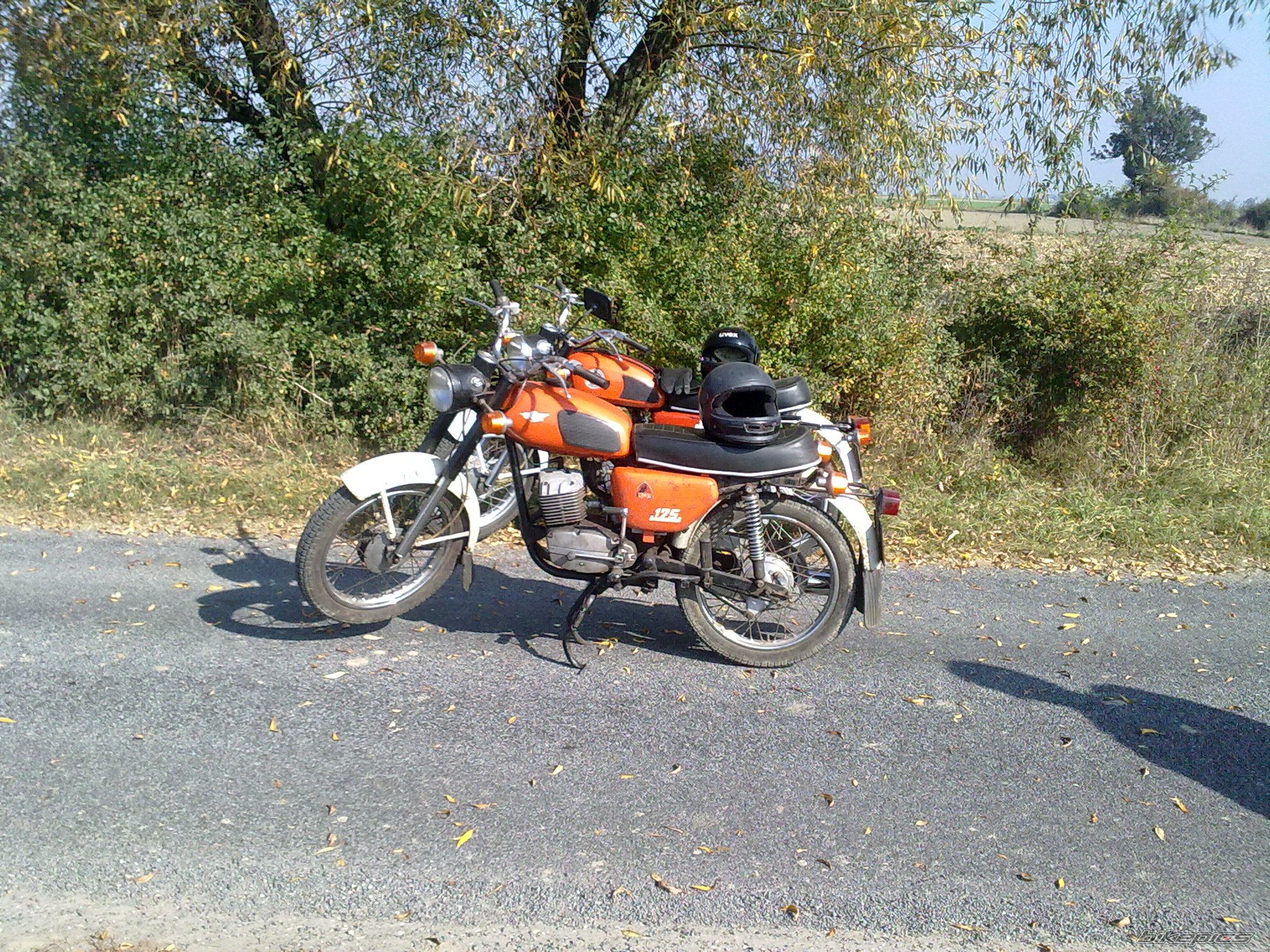 Photo 2281839