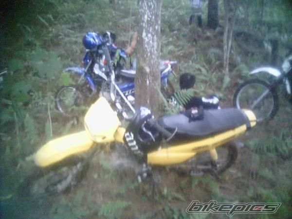 Photo 2281978