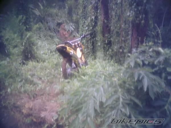 Photo 2281981